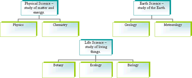 Chart showing examples of physical, earth and life sciences